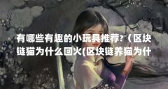 有哪些有趣的小玩具推荐?(区块链猫为什么回火(区块链养猫为什么有人买))【
