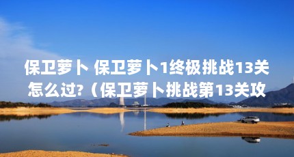保卫萝卜 保卫萝卜1终极挑战13关怎么过?（保卫萝卜挑战第13关攻略图解保卫萝卜第13关通关攻略分享）【《保卫萝卜挑战第13关攻略图解》】