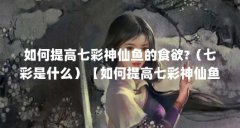如何提高七彩神仙鱼的食欲?(七彩是什么)【如何提高七彩神仙鱼的食欲】