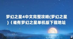 梦幻之星4中文完整攻略(梦幻之星)（谁有梦幻之星单机版下载地址??）【关于梦