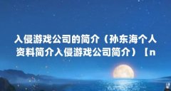 入侵游戏公司的简介（孙东海个人资料简介入侵游戏公司简介）【nitrome必死的