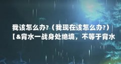我该怎么办?（我现在该怎么办?）【&背水一战身处绝境，不等于背水一战】