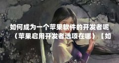 如何成为一个苹果软件的开发者呢（苹果启用开发者选项在哪）【如何成为一个