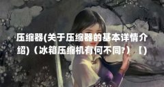 压缩器(关于压缩器的基本详情介绍)（冰箱压缩机有何不同?）【)冰箱压缩器的