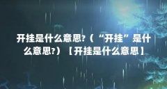 开挂是什么意思?（“开挂”是什么意思?）【开挂是什么意思】