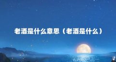 老酒是什么意思（老酒是什么）