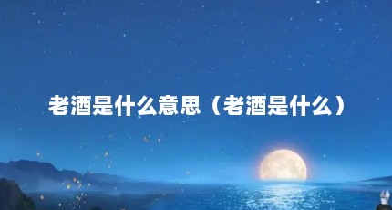 老酒是什么意思（老酒是什么）