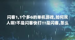闪客1,1个多G的单机游戏,如何双人啊?不是闪客快打!!!是闪客,怎么双人...（闪客