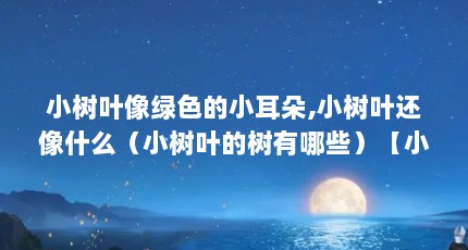 小树叶像绿色的小耳朵,小树叶还像什么（小树叶的树有哪些）【小树叶童话主要内容20字】