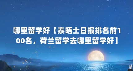哪里留学好【泰晤士日报排名前100名，荷兰留学去哪里留学好】