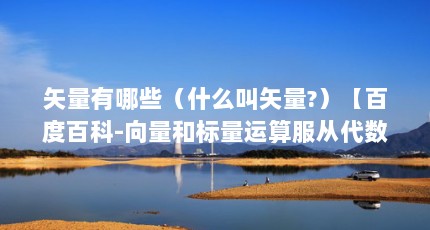 矢量有哪些（什么叫矢量?）【百度百科-向量和标量运算服从代数运算服从代数运算服】
