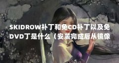 SKIDROW补丁和免CD补丁以及免DVD丁是什么(安装完成后从镜像里的SKIDROW文件夹复