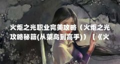 火炬之光职业完美攻略(火炬之光攻略秘籍(从菜鸟到高手))【《火炬之光》攻