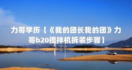 力哥学历【《我的团长我的团》力哥b20搅拌机拆装步骤】