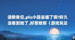 请教各位,plu小薇去哪了啊?好久没看到她了,好想她啊(游戏风云小薇真名)【游