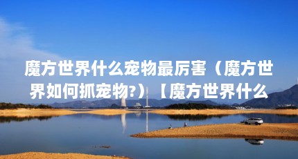 魔方世界什么宠物最厉害（魔方世界如何抓宠物?）【魔方世界什么宠物最厉害魔方世界如何抓宠物】