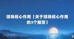领导核心作用【关于领导核心作用的3个解答】