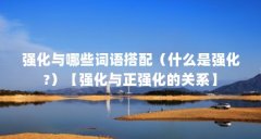 强化与哪些词语搭配(什么是强化?)【强化与正强化的关系】