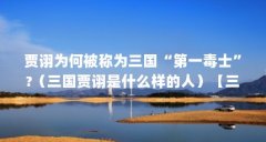 贾诩为何被称为三国“第一毒士”?(三国贾诩是什么样的人)【三国时期的贾