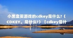 小黑盒买游戏的cdkey是什么?(CDKEY。是什么?)【cdkey是什么?】