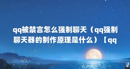 qq被禁言怎么强制聊天（qq强制聊天器的制作原理是什么）【qq被禁言怎么强制聊天】