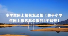 小学生网上报名怎么报【关于小学生网上报名怎么报的4个解答】