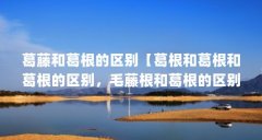 葛藤和葛根的区别【葛根和葛根和葛根的区别,毛藤根和葛根的区别】
