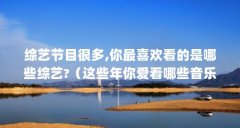 综艺节目很多,你最喜欢看的是哪些综艺?(这些年你爱看哪些音乐选秀类综艺节