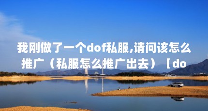 我刚做了一个dof私服,请问该怎么推广（私服怎么推广出去）【dof私服推广怎么推广出去私服推广怎么快速拉人】