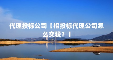 代理投标公司【招投标代理公司怎么交税？】