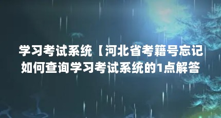 学习考试系统【河北省考籍号忘记如何查询学习考试系统的1点解答】