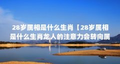 28岁属相是什么生肖【28岁属相是什么生肖龙人的注意力会转向属龙人的解答】