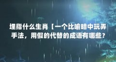 埋指什么生肖【一个比喻暗中玩弄手法，用假的代替的成语有哪些？】