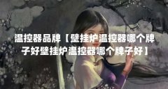 温控器品牌【壁挂炉温控器哪个牌子好壁挂炉温控器哪个牌子好】