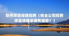 软件项目经理招聘【物业公司招聘项目经理渠道有哪些?】