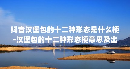 抖音汉堡包的十二种形态是什么梗-汉堡包的十二种形态梗意思及出处分享...（在办公室怎么打发时间?）【《丸霸无双》的十二种形态是什么梗，为何成功吸引了直播新宠？】