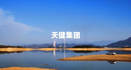 天健集团