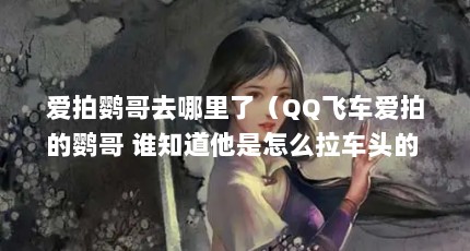 爱拍鹦哥去哪里了（QQ飞车爱拍的鹦哥 谁知道他是怎么拉车头的 我看他拉车头好快呀_百度知...）【爱拍里的鹦哥的真名是什么qq飞车解说的那个】