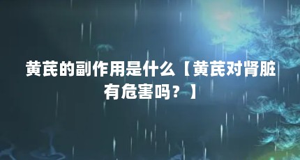 黄芪的副作用是什么【黄芪对肾脏有危害吗？】