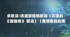 求歌词:汤潮苦咖啡歌词（冷漠的《苦咖啡》 歌词）【我想着你的美我想着你的