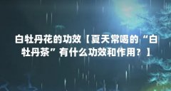 白牡丹花的功效【夏天常喝的“白牡丹茶”有什么功效和作用?】