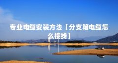 专业电缆安装方法【分支箱电缆怎么接线】