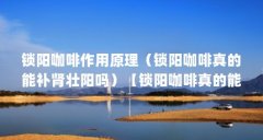 锁阳咖啡作用原理（锁阳咖啡真的能补肾壮阳吗）【锁阳咖啡真的能壮阳吗】