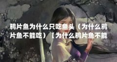 鸦片鱼为什么只吃鱼头（为什么鸦片鱼不能吃）【为什么鸦片鱼不能吃？】