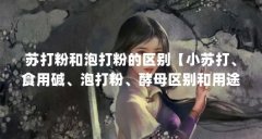 苏打粉和泡打粉的区别【小苏打、食用碱、泡打粉、酵母区别和用途到底是什么