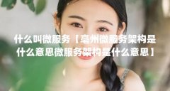 什么叫微服务【亳州微服务架构是什么意思微服务架构是什么意思】