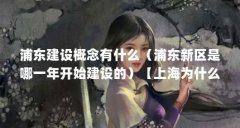 浦东建设概念有什么（浦东新区是哪一年开始建设的）【上海为什么建设浦东】