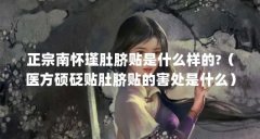 正宗南怀瑾肚脐贴是什么样的?（医方硕砭贴肚脐贴的害处是什么）【医方硕砭