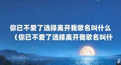 你已不爱了选择离开我歌名叫什么（你已不爱了选择离开我歌名叫什么 你已不