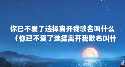 你已不爱了选择离开我歌名叫什么（你已不爱了选择离开我歌名叫什么 你已不爱了选择离开我出处）【你已不爱了选择离开我】